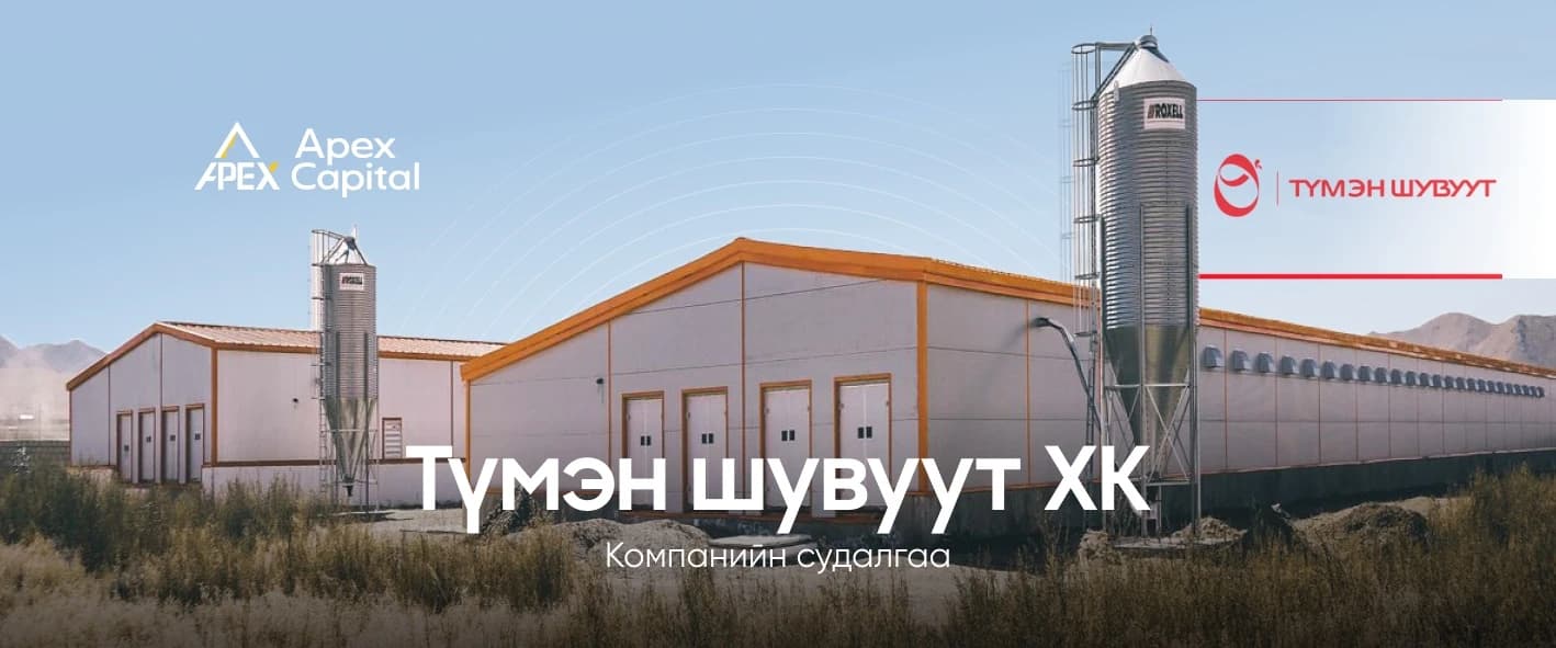 "Түмэн Шувуут ХК" Компанийн судалгаа